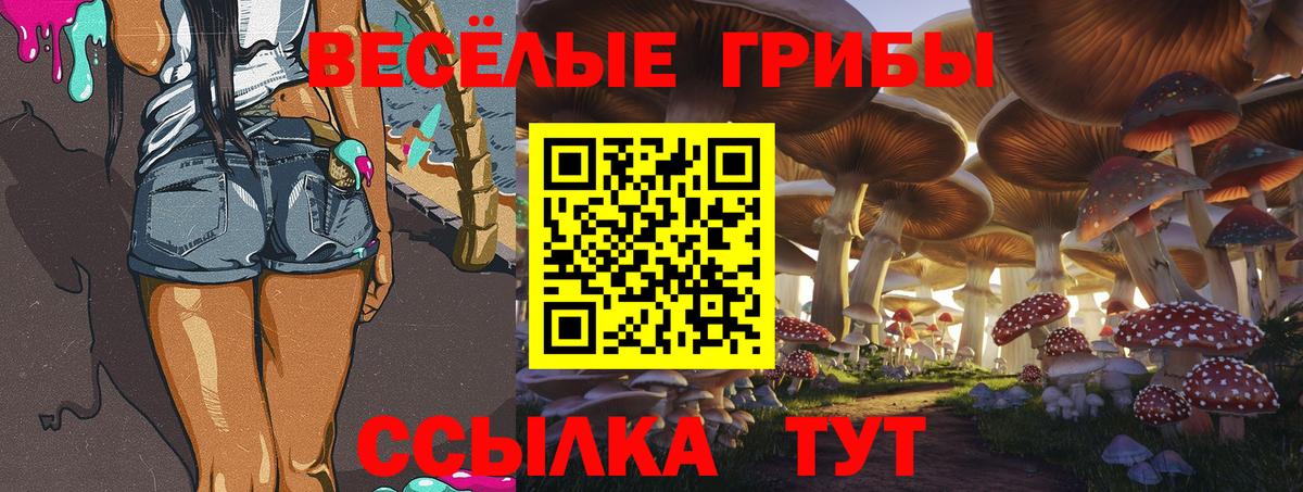 Псилоцибиновые грибы мицелий Кузнецк