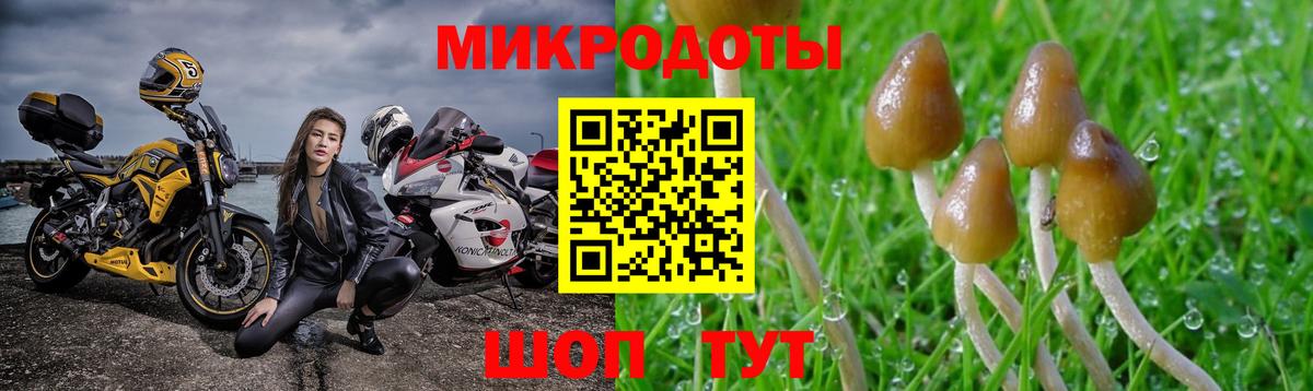 Галлюциногенные грибы прущие грибы  Вход с VPN  Галлюциногенные грибы Cubensis  Кузнецк 